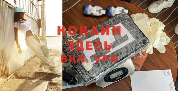 кокс Бородино