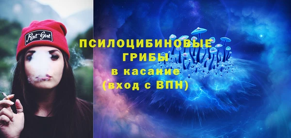 экстази Богородицк