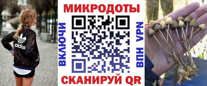 Галлюциногенные грибы MAGIC MUSHROOMS  Красноармейск 